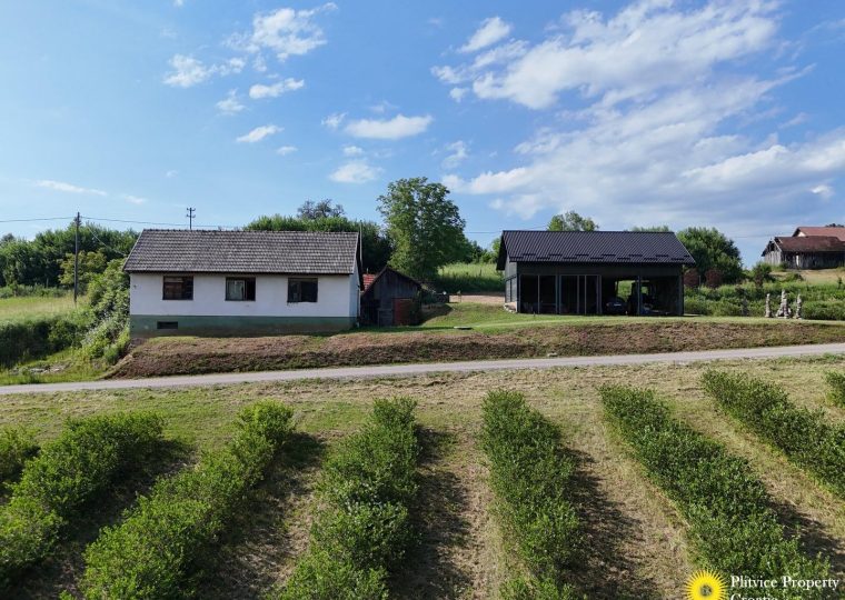 Rural Property with Hazelnut and Aronia Plantation
