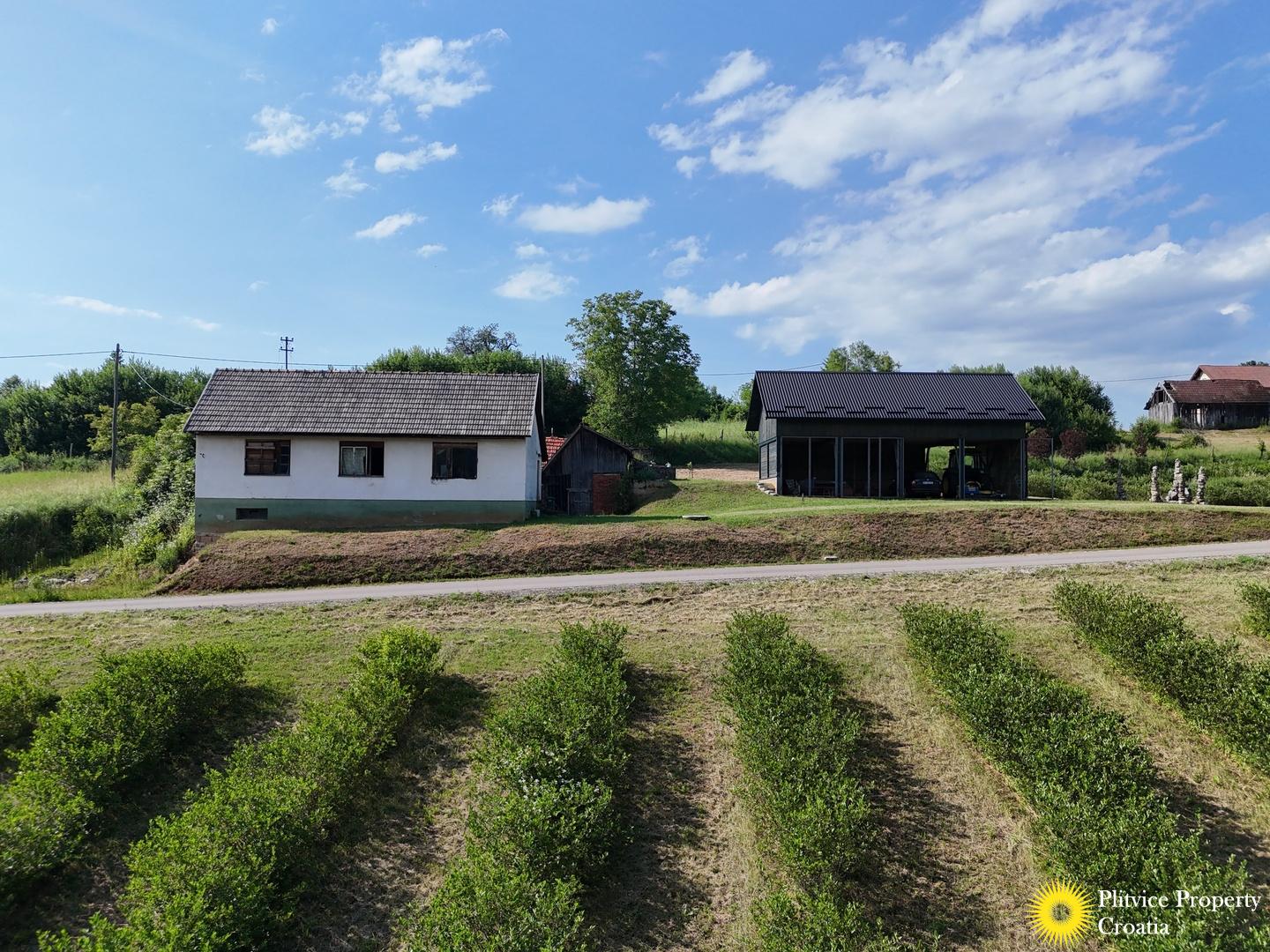 Rural Property with Hazelnut and Aronia Plantation — photo 1