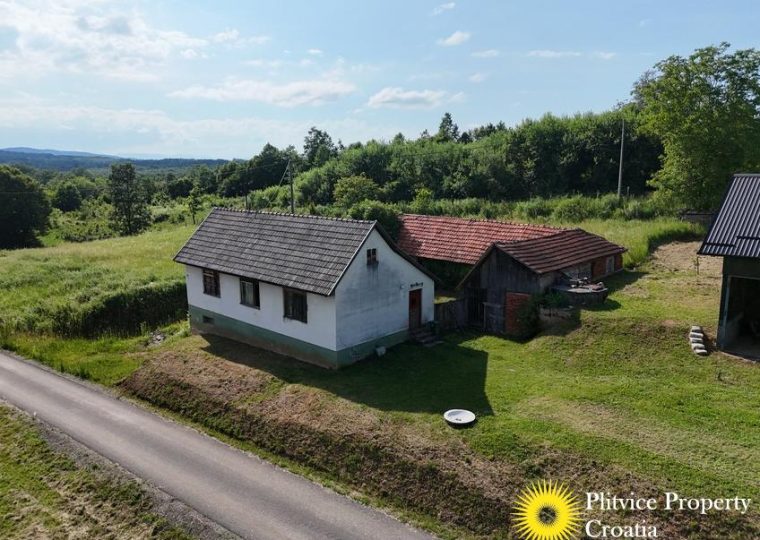 Rural Property with Hazelnut and Aronia Plantation — photo 2