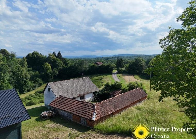Rural Property with Hazelnut and Aronia Plantation — photo 3